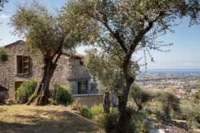 Villa Pietrasanta, Pietrasanta